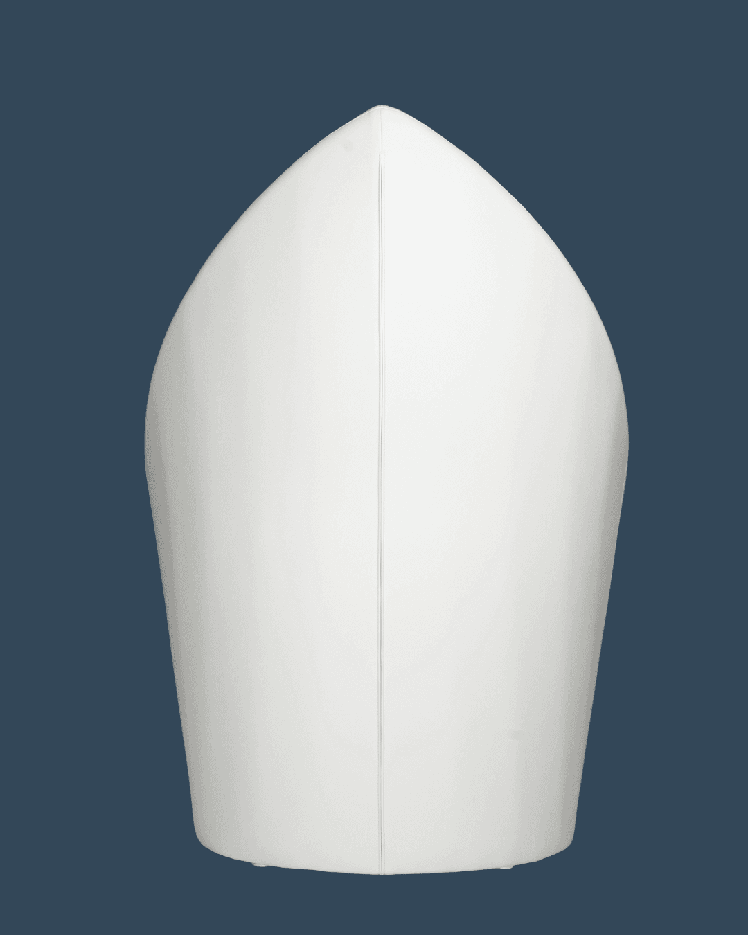 ZENZONE PURE — Back